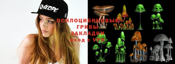 винт Куйбышев